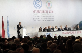 COP22