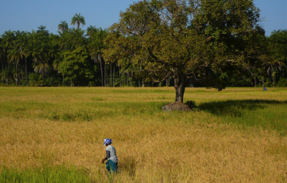 Casamance Senegal